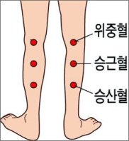 종아리 살빼기 경혈