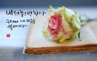 서산대사의 해탈시(解脫詩)|♡,·´″″°