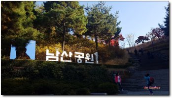 낙엽, 바스락, 남산둘레길에서...