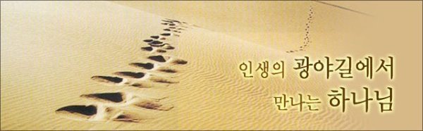 도시의광야 이미지