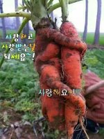 보내주신카톡감사합니다