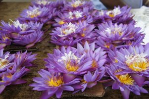 부처님 치아 사리가 모셔진 스리랑카 불치사