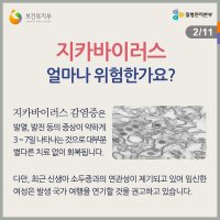 의료인을 위한 지카바이러스 & 임신부 & 소두증 관련 정보 : 질병관리본부