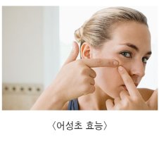 어성초 효능 알아보자!!