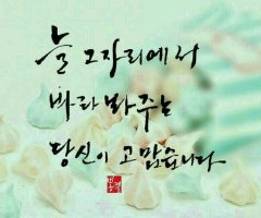 하루의 행복