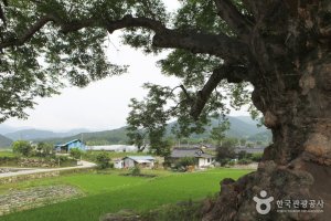 명당에서 즐기는 고택체험,거창 황산전통한옥마을