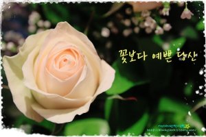 마음에 새기는 좋은 글 중에서