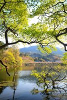 2019.04.20. 경북 경산 관곡지