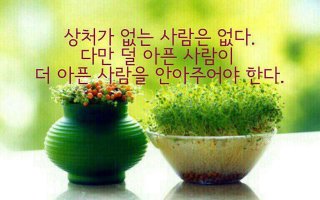 담아 이미지