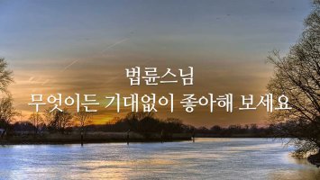 [명언] 무엇이든 기대없이 좋아해보세요