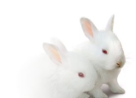 안병욱명상록/마음의 평화