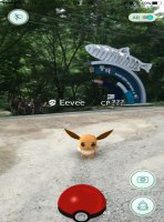 揚口郡,‘ポケモン故’