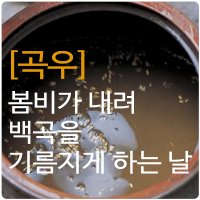 [곡우(穀雨)] 봄비가 내려 백곡을 기름지게 하는 날