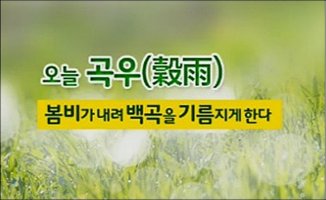 곡우 단비 내려주니 풍년될 듯 ?!