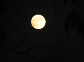 Super Moon