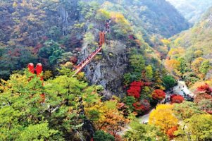 동두천역, 순창 강천산 단풍열차 운행