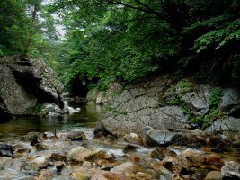 설악산 계곡