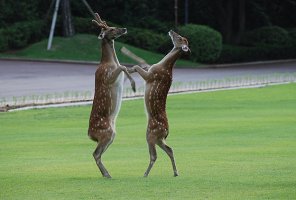 앗싸.... 인생은 요로콤 사는거야~~~~!