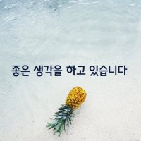 [좋은 생각을 하고 있습니다]