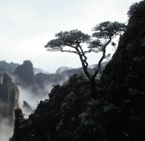 조선 명기(名技)들의 시(詩)