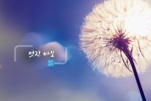 멋진 바보