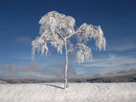 24절기 이름 / 입춘, 백로, 대설 등 절기에 대해서