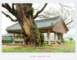 호남의 3대 명촌 금안 마을의 오랜 세월을 느낄 수 있는 곳. - 나주 쌍계정