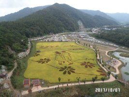 정읍구절초 축제