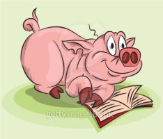 pig with a book