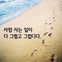 사람사는 일이 다 그렇고 그럽디다