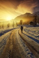 Chris De Burgh - When Winter Comes (겨울이 오면) 外 1곡|