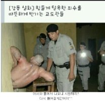 교정의 날