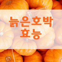 늙은호박 효능 팔방미인이네요!