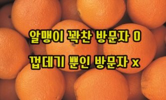 페이지뷰가 중요한 이유