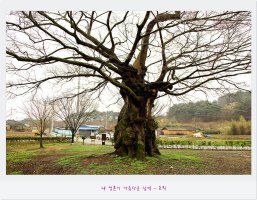 호남의 3대 명촌 금안 마을의 오랜 세월을 느낄 수 있는 곳. - 나주 쌍계정