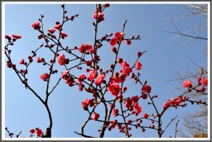 전주 경기전과 한옥마을