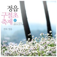 [좋은글]정읍 구절초 축제