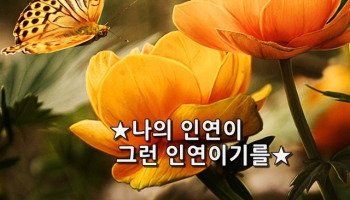 법정스님의 귀한 인연이길