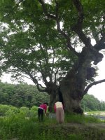 (대구점집)일월정사-영주 성황당 기도