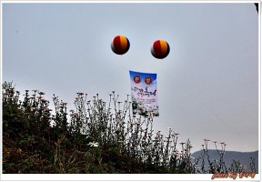 정읍 구절초축제