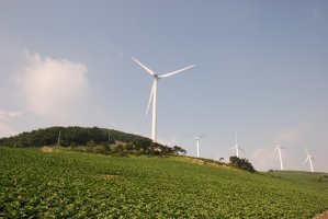 국사봉(2장), 두물머리(3장), 마이산(1장), 태백산(1장), 응봉산(1장), 전동성당(1장)올립니다.