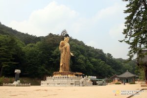 충북 가볼만한곳 | 사찰 전체가 박물관 같은 보은 '법주사'