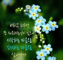 비우고 이미지