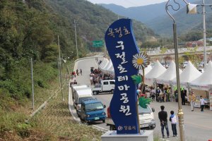 정읍 구절초축제3