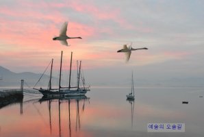 ♥ 당신에게 내 마음을 드리고 싶습니다