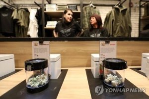 캐나다 마리화나 합법화 첫날 구매자들 환호성.."국가적 실험"