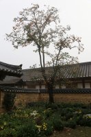 한옥의 진수 - 고택