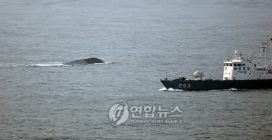 천안함을 찾을 생각이 애초에 없었다...