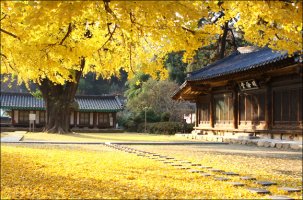 전주 향교에 빠져보아요