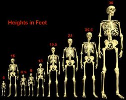 네피림(Nephilim), 르바임(Rephaim), 기간테스(Gigantes) - 10m 인골사진